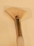 Bristle fan brush